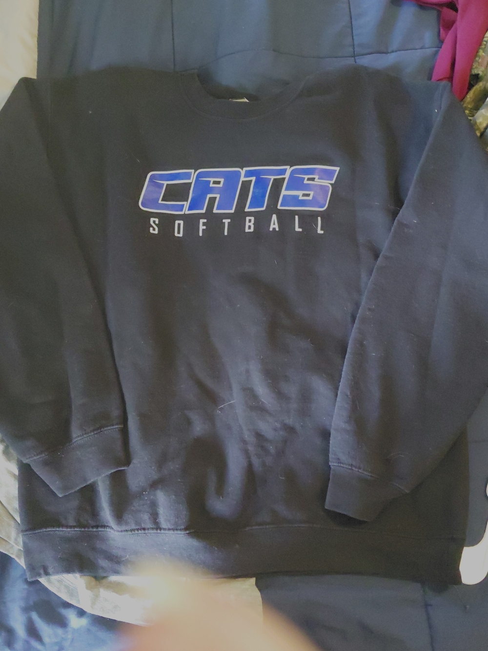 Gildan Black Crewneck Sweatshirt with Blue "CATS" Softball Logo